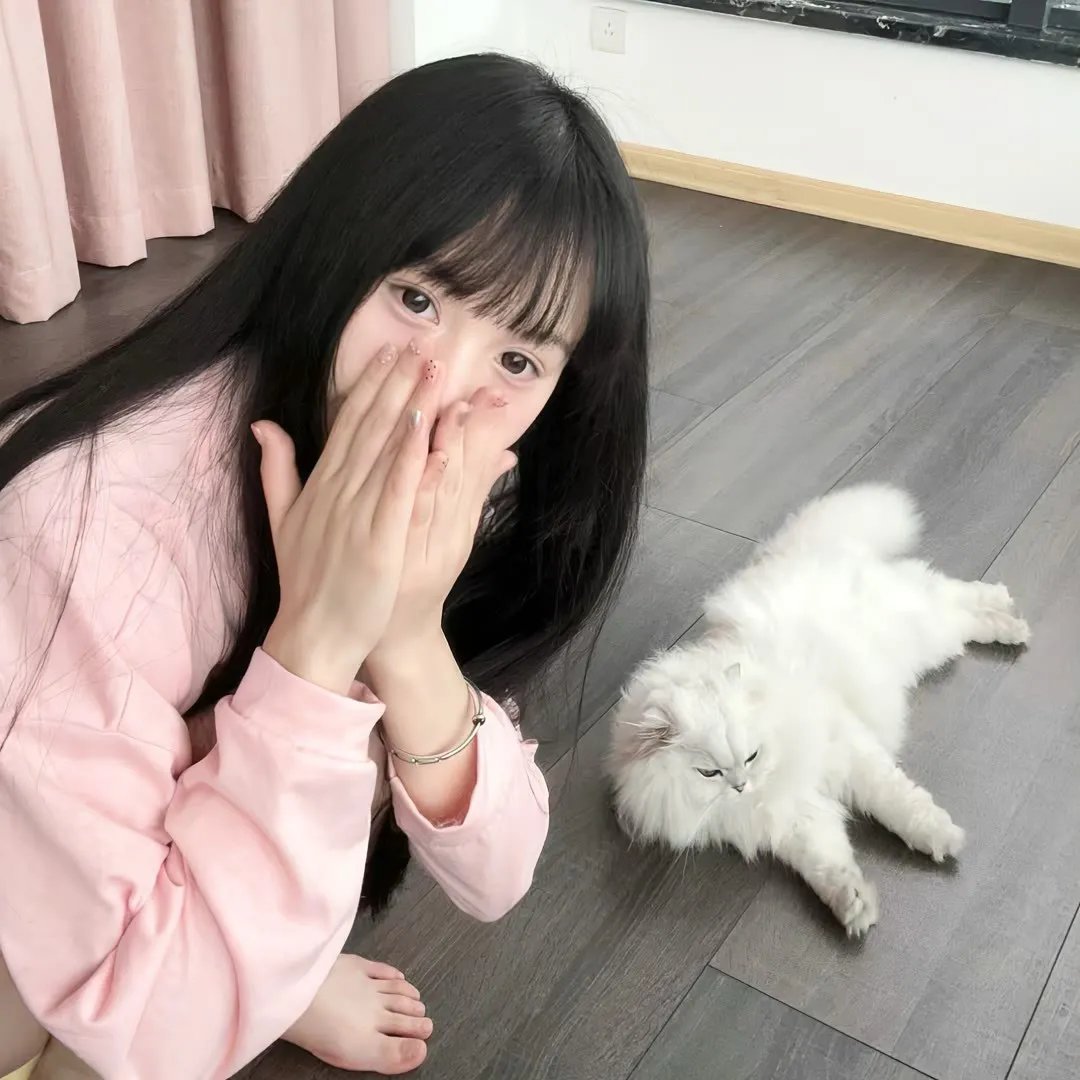 生命中的一天